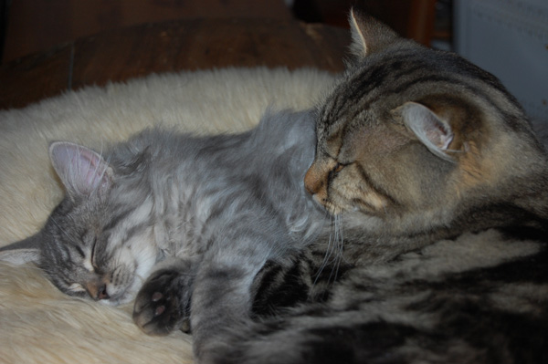 DSC_0405.jpg