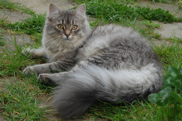 DSC_0677.jpg