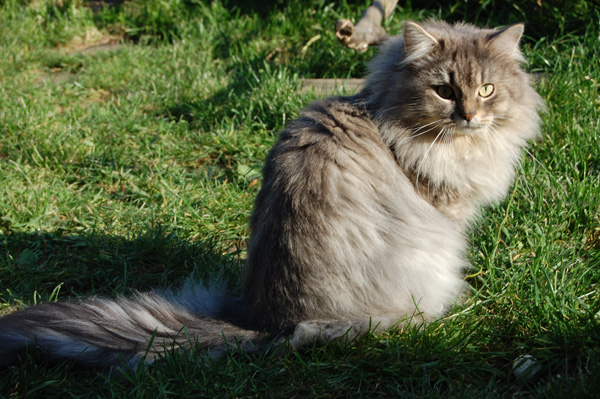 DSC_0687-(2).jpg