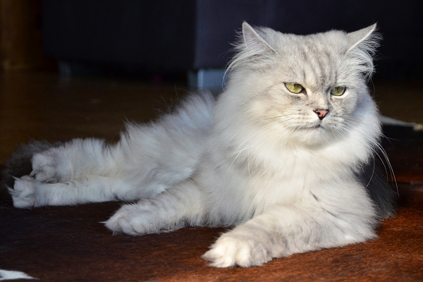 D70_3128.JPG