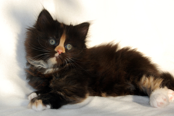 DSC_0165.JPG - Caris-6 Wochen