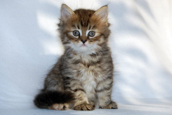 DSC_0234.JPG - Ciri-6 Wochen