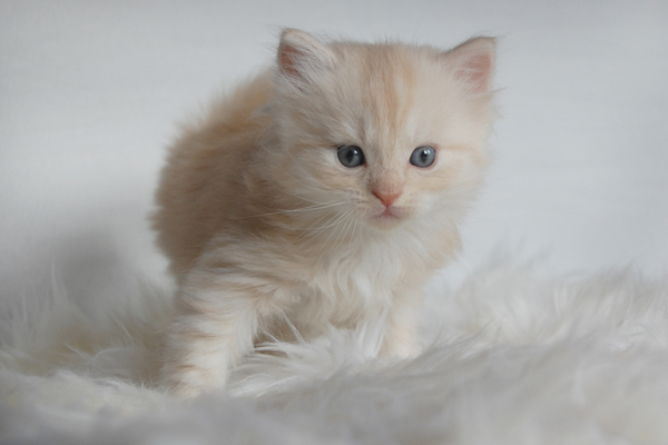 DSC_0310.JPG - Cedric-4 Wochen