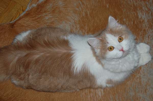 DSC_0567.JPG