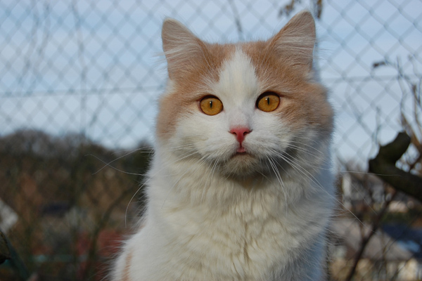 DSC_0714.JPG