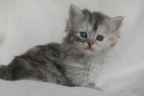 DSC_0151.JPG - Hoshi-4 Wochen