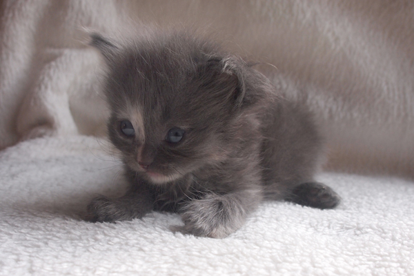 P7236641.jpg - Hera-3 Wochen