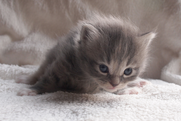 P7236700.jpg - Haldis-3Wochen