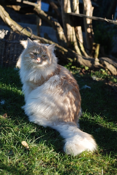 k-DSC_2837.JPG