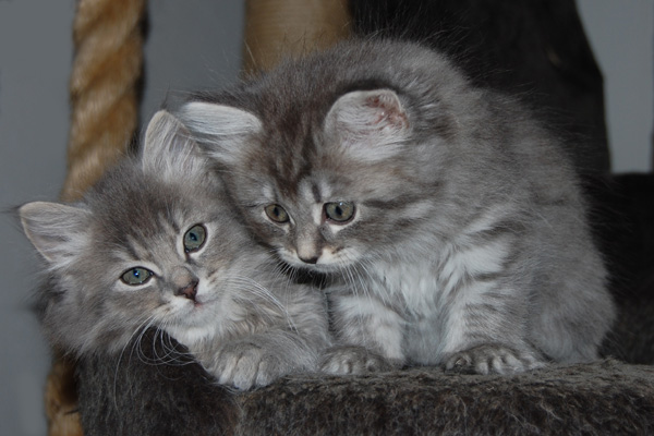 DSC_0543-(2).jpg