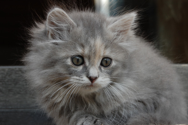 DSC_0668.jpg