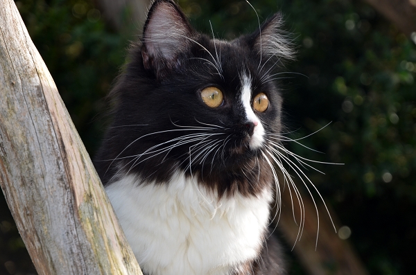 k-D70_6498.JPG
