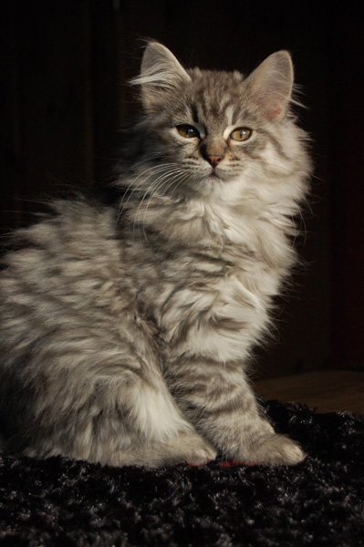 DSC_0193.jpg
