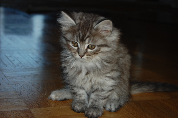 DSC_0772.jpg