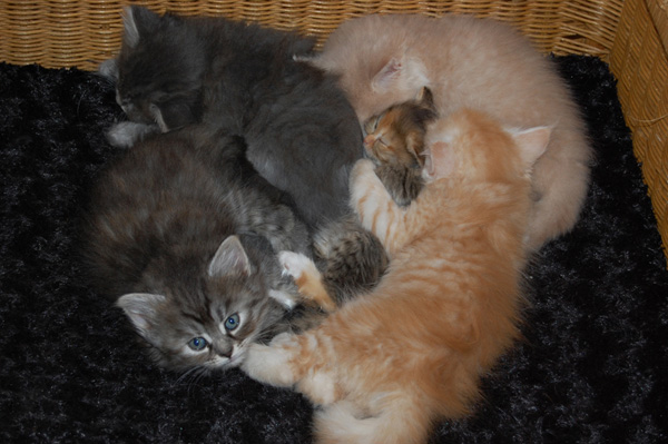DSC_0001.jpg
