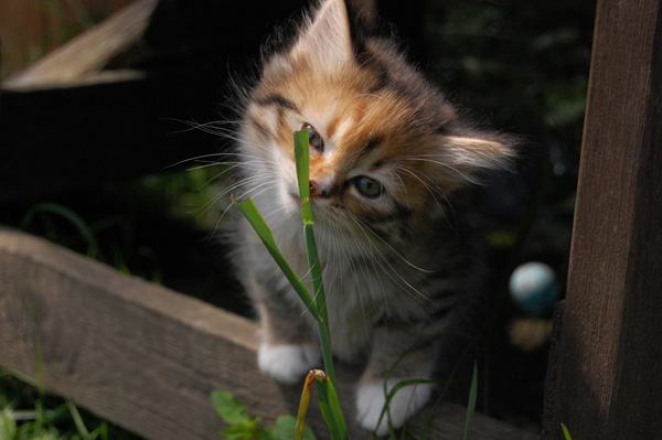 DSC_0028.jpg
