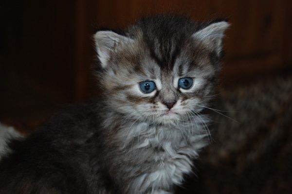 DSC_0383.jpg