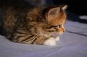 DSC_0348-(2)
