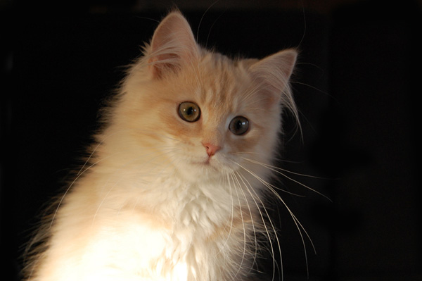 DSC_0541.jpg