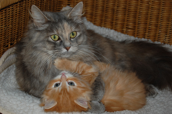 DSC_0162.jpg