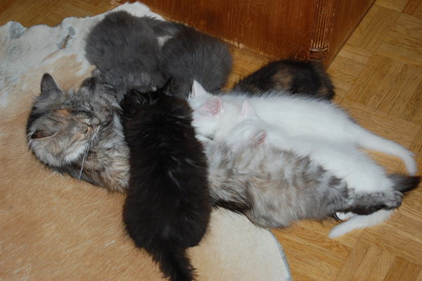 DSC_0304.jpg