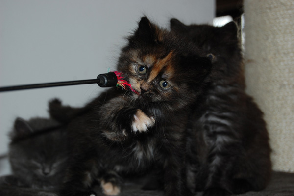 DSC_0538.jpg