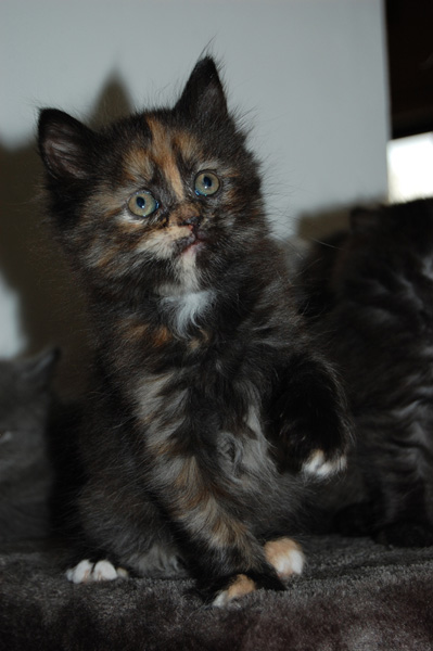 DSC_0542.jpg