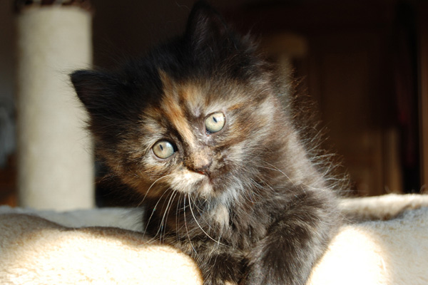 DSC_0791-(2).jpg