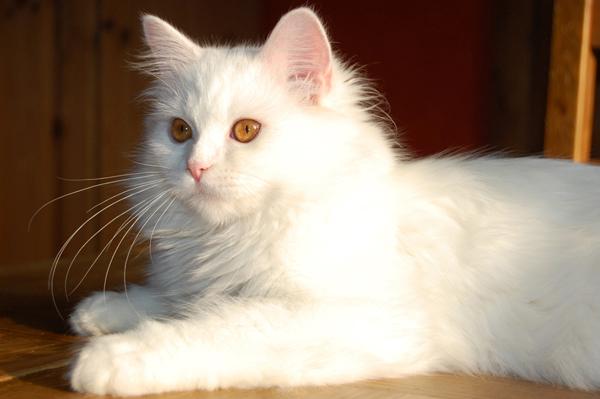 DSC_0041.JPG