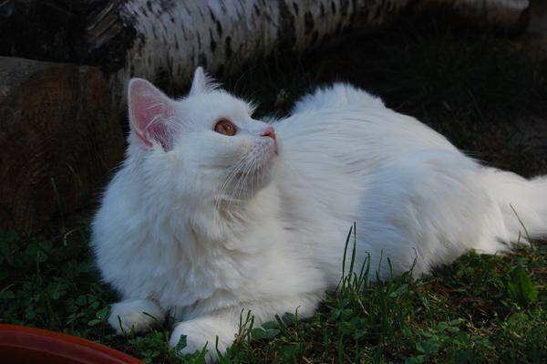 DSC_0357.JPG