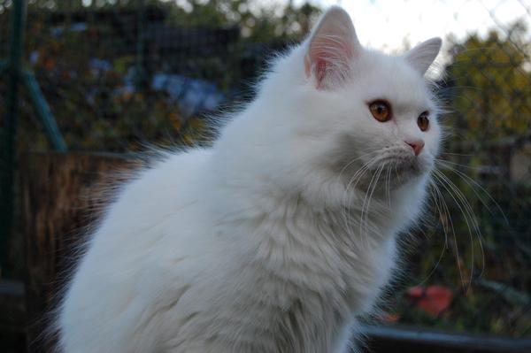 DSC_0363.JPG