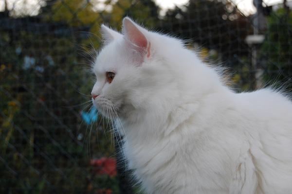 DSC_0398.JPG