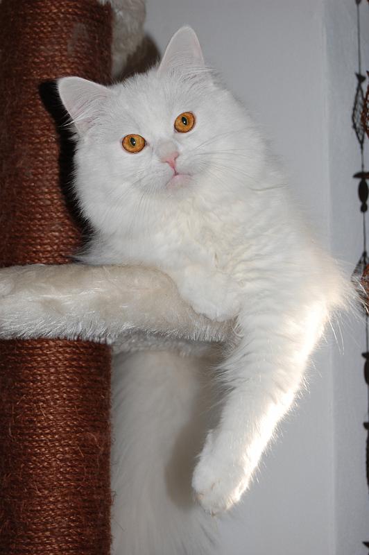 DSC_0429.JPG