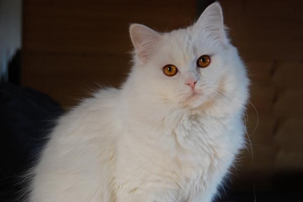 DSC_0569.JPG