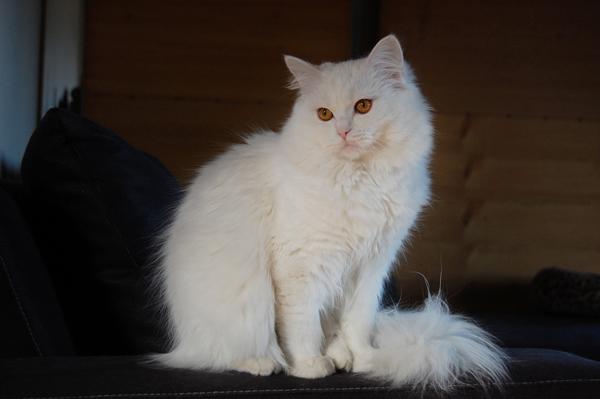 DSC_0571.JPG