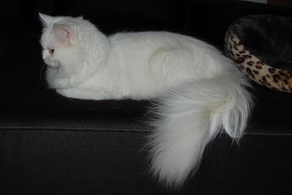 DSC_0636.JPG