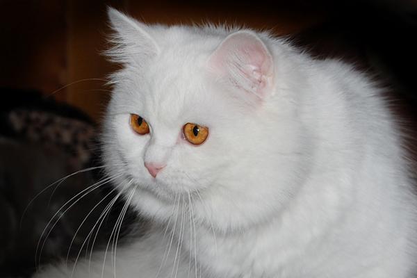 DSC_0677.JPG