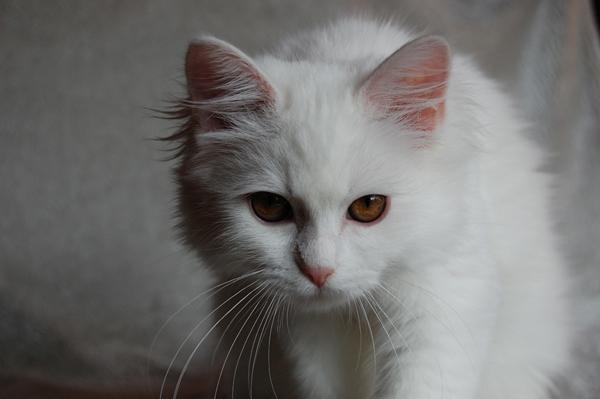DSC_0681.JPG