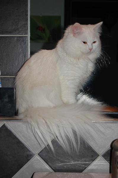 DSC_0685.JPG