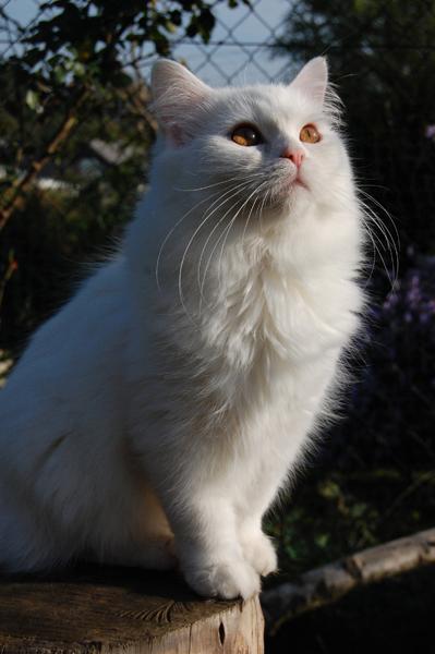 DSC_0727.JPG
