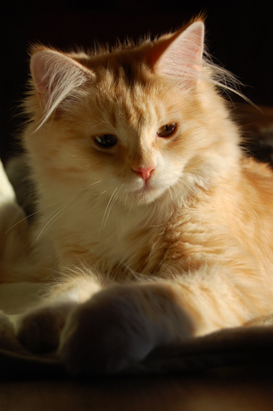 DSC_0075.jpg
