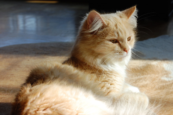 DSC_0091.jpg