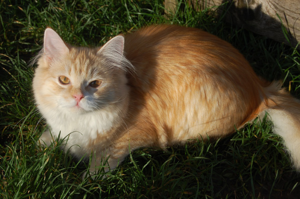 DSC_0137.jpg