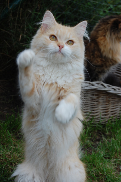 DSC_0172.jpg