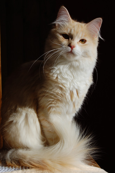 DSC_0458.jpg