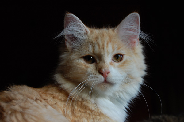 DSC_0494.jpg