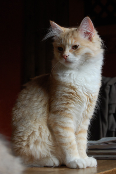 DSC_0553.jpg