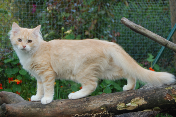 DSC_0609.jpg
