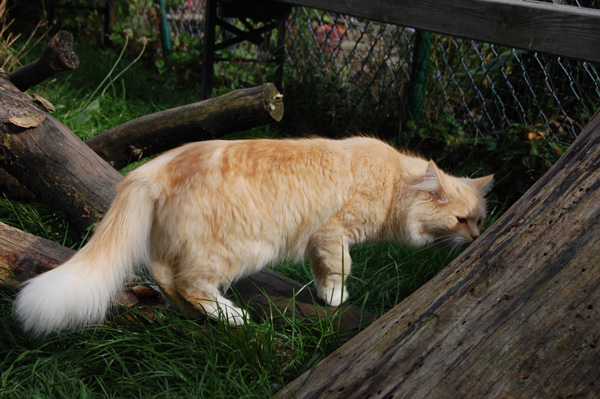 DSC_0853.jpg