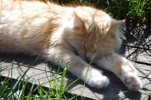 DSC_0880.jpg